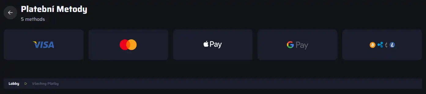 Platební metody Visa, Mastercard, Apple Pay, Google Pay a Crypto na oficiálním webu BDMbet